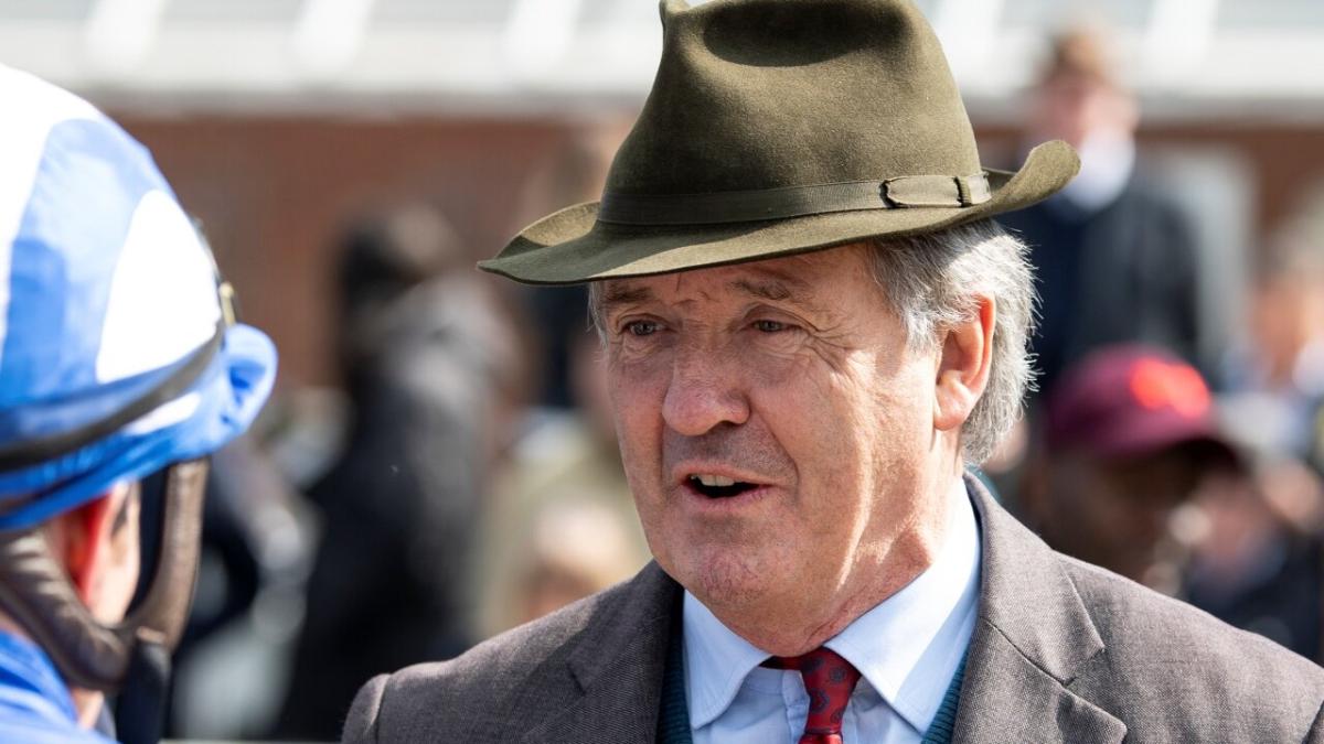 Trainer Marcus Tregoning 